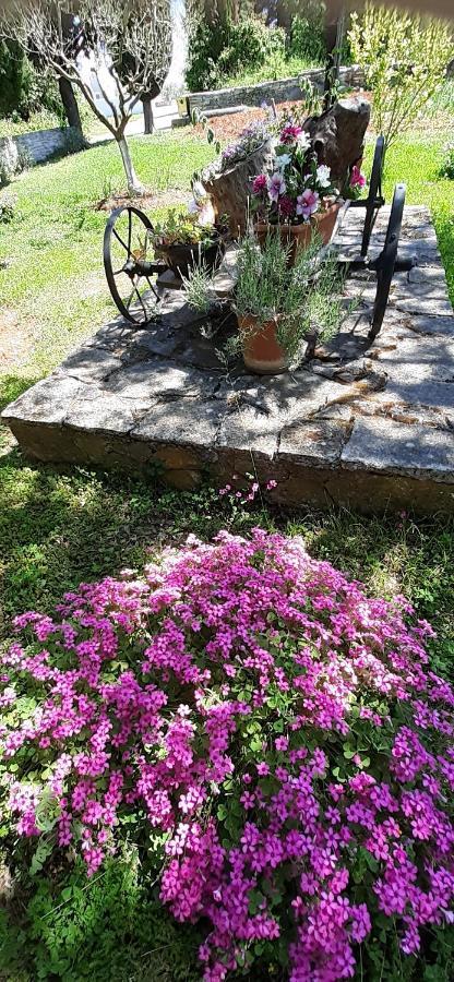 Lennida Studio Apartman Kavran Esterno foto